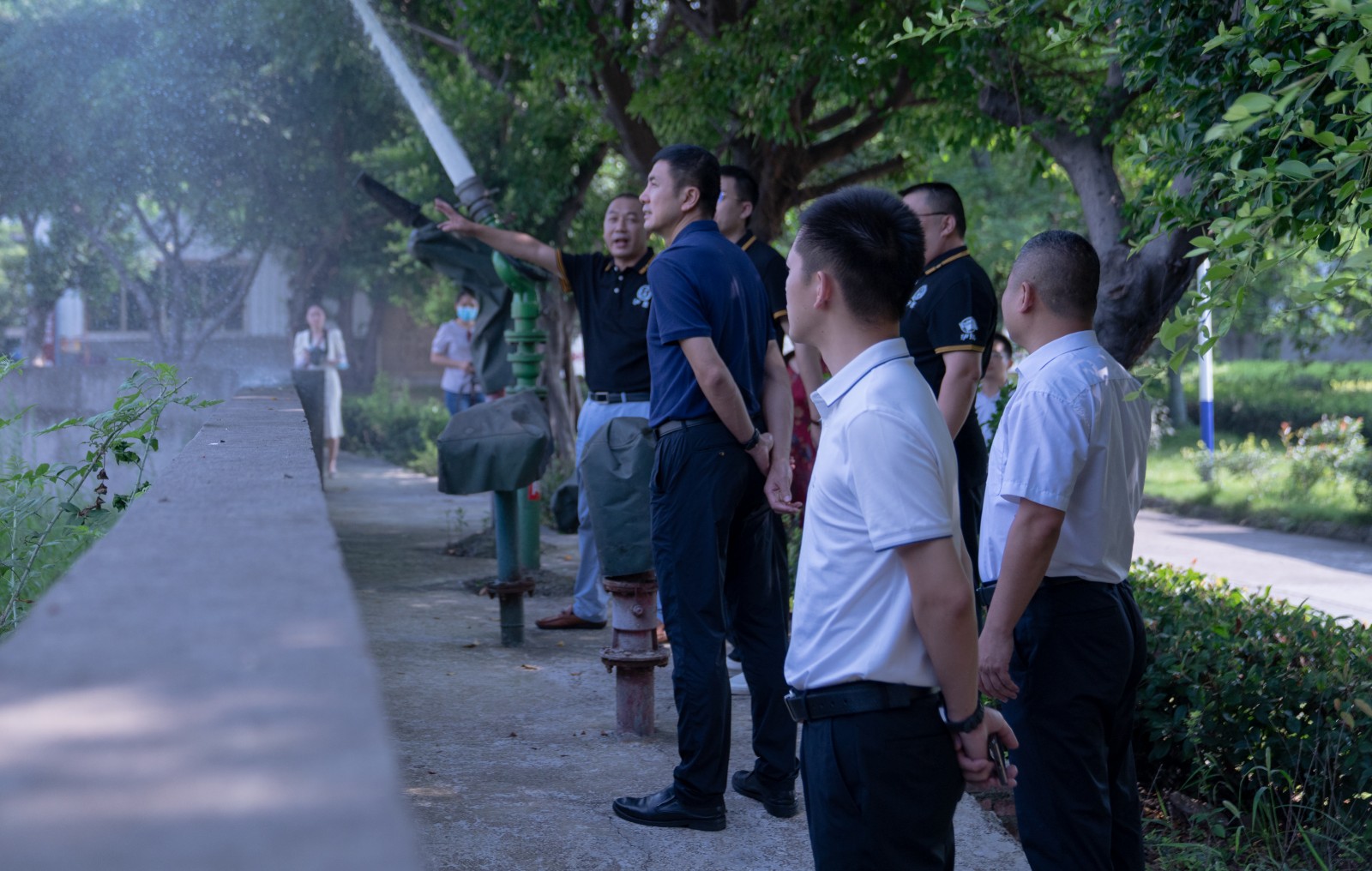 1661393237939605.jpg 1661393237939605.jpg